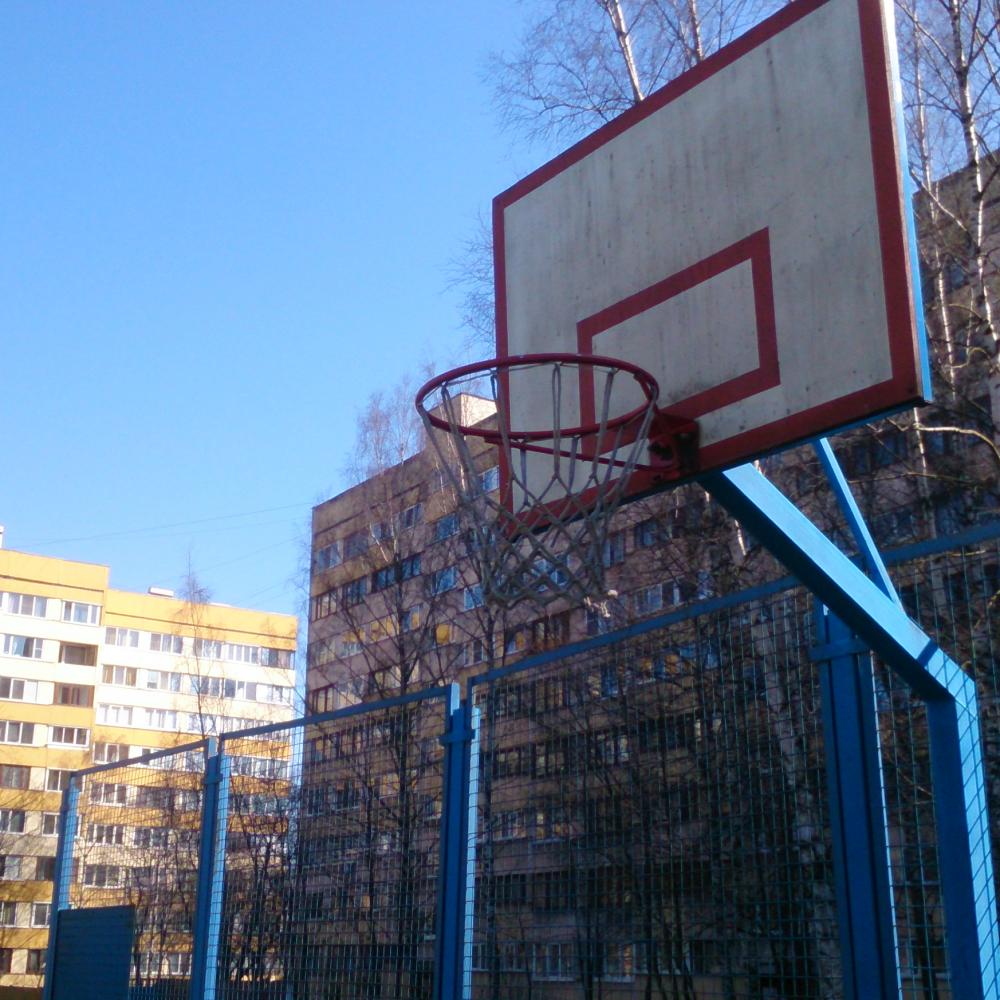 баскетбол. Россия, Санкт-Петербург, Красносельский район, муниципальный округ Южно-Приморский