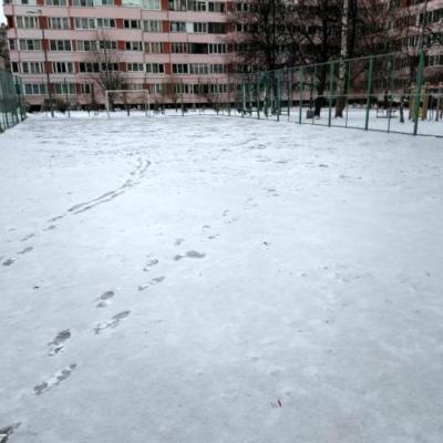 Россия, Санкт-Петербург, Выборгский район, муниципальный округ Шувалово-Озерки