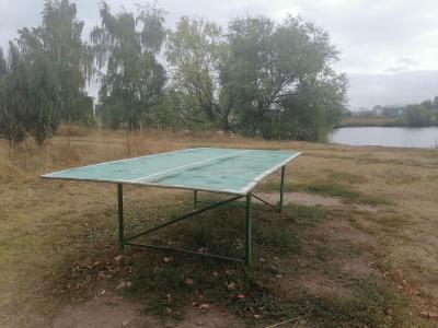 Теннисный стол