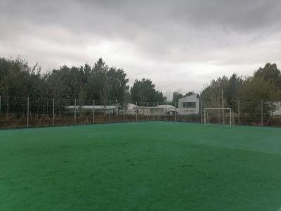 Футбольное поле